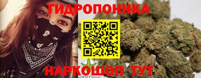 apvp Заводоуковск
