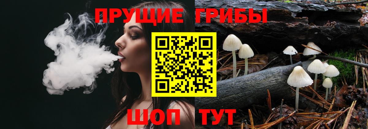 Псилоцибиновые грибы мицелий  Галлюциногенные грибы MAGIC MUSHROOMS  Вход с VPN  Минеральные Воды 